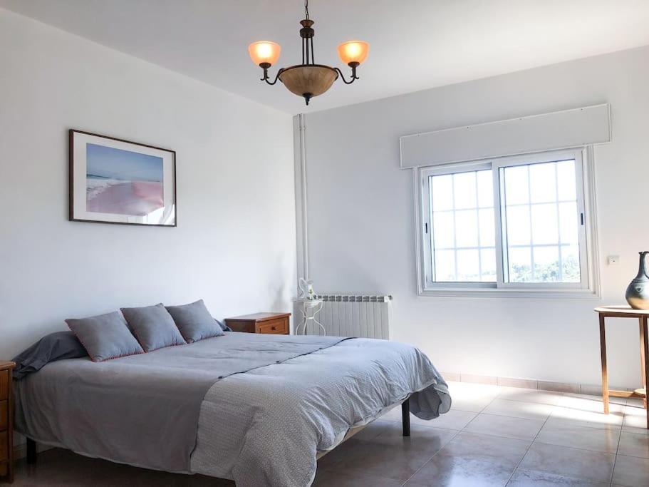 Maison Familiale De Caractere Avec Piscine Padronelo エクステリア 写真