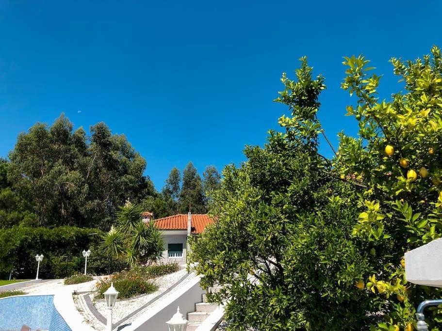 Maison Familiale De Caractere Avec Piscine Padronelo エクステリア 写真